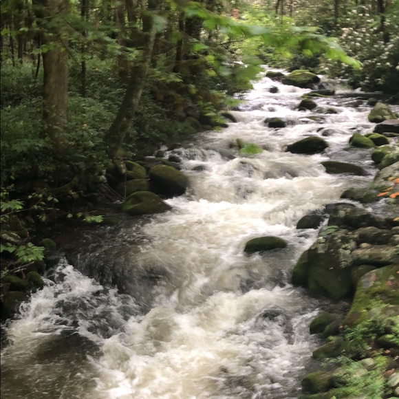 Meet your Posher, Danielle - Picture 1 of 1